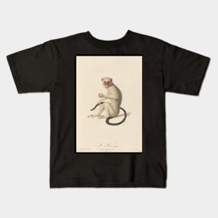 Silvery marmoset Kids T-Shirt